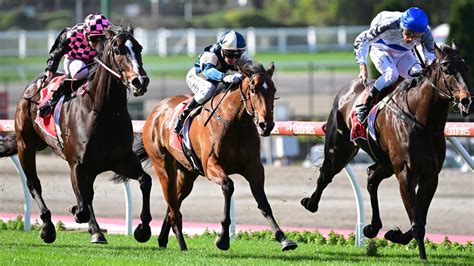 Group 1 Moir Stakes final field and barrier revealed .